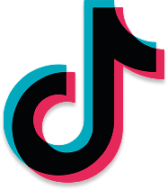 TikTok Ads Account Management logo - Professional ad management services